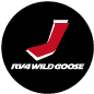 J RV4Wildgoose