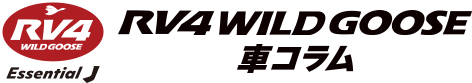 RV4 Wild goose
