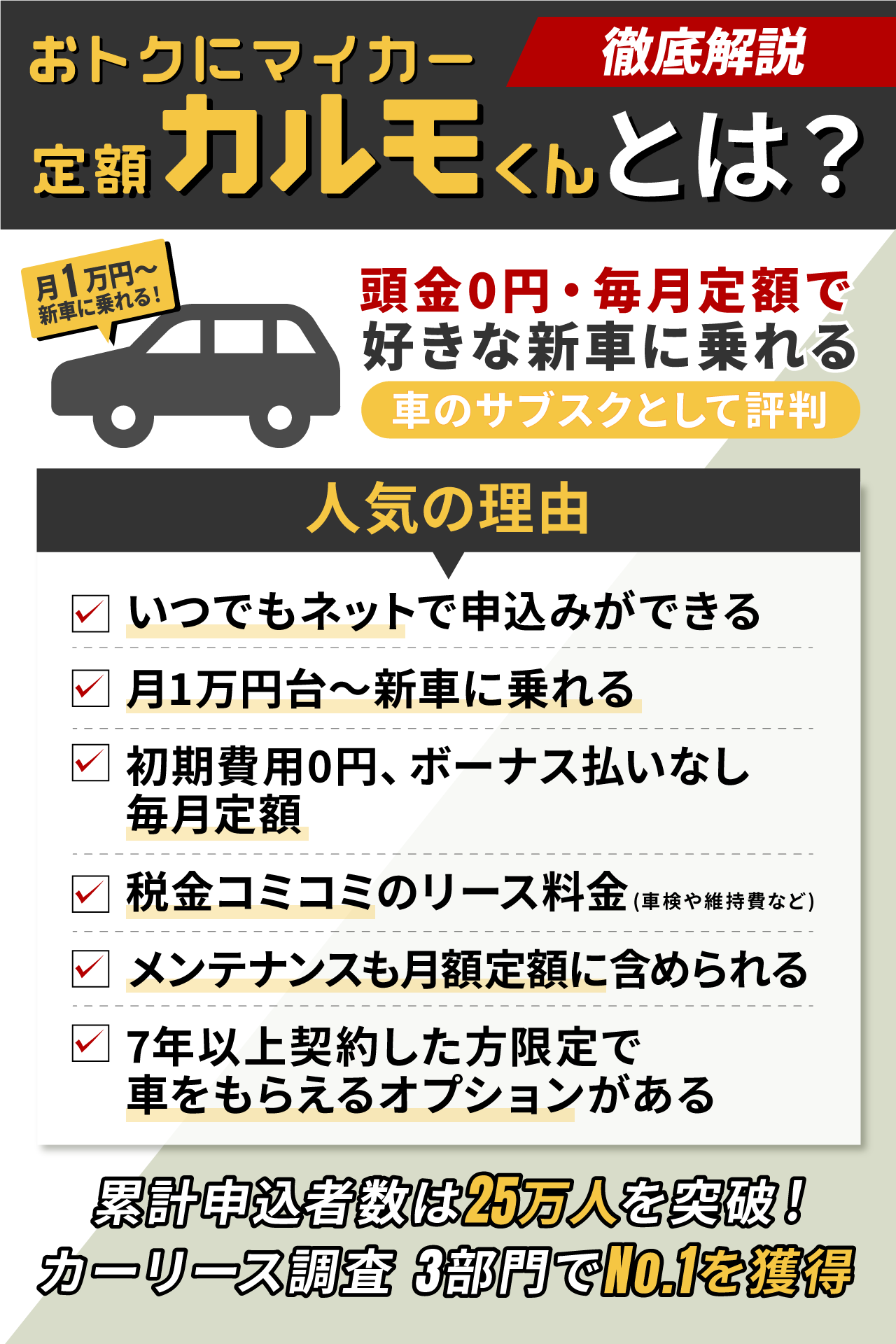 定額カルモくんとは